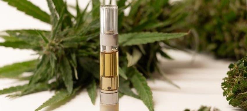Praktischer Ratgeber zu cannabis vape einweg – Risiken, Qualitätsmerkmale und sichere Anwendung