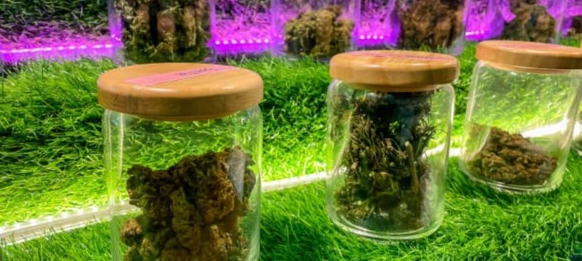 e-dampf Ratgeber 2025 – die besten Geräte, Liquid-Empfehlungen und Profi-Tipps für Einsteiger