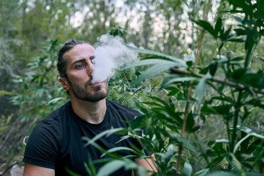 elektrische stopfmaschine für zigaretten kaufen – Tests, Tipps und die besten Modelle 2025